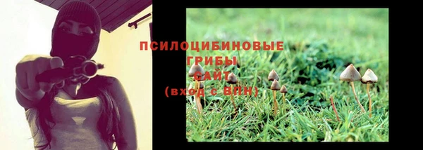 а пвп мука Новозыбков