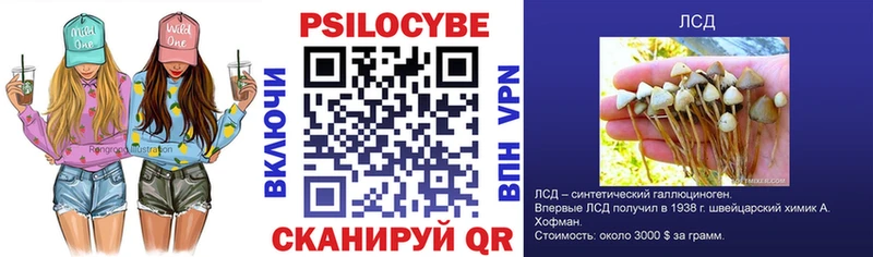 цены   Оха  Псилоцибиновые грибы GOLDEN TEACHER 